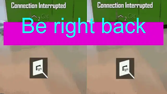 Pertunjukan Kamera Web BimboCat