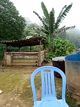 kalara_kail's Live XXX Chat