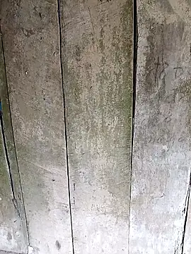 Chat +18 de meomeo30 ao vivo