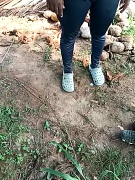 dolphiinn ওয়েবক্যাম শো