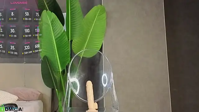 Chat XXX ao vivo de Mollly_Rouge