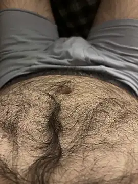 Show Webcam de StrokinSnowman