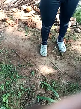 dolphiinn Chat XXX live