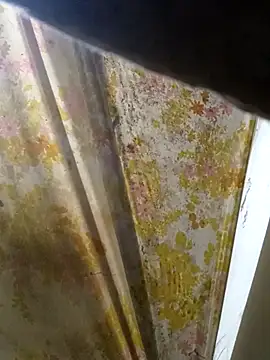 Cogelonregio Pertunjukan Webcam