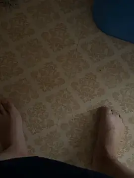 123a_B Pertunjukan Webcam