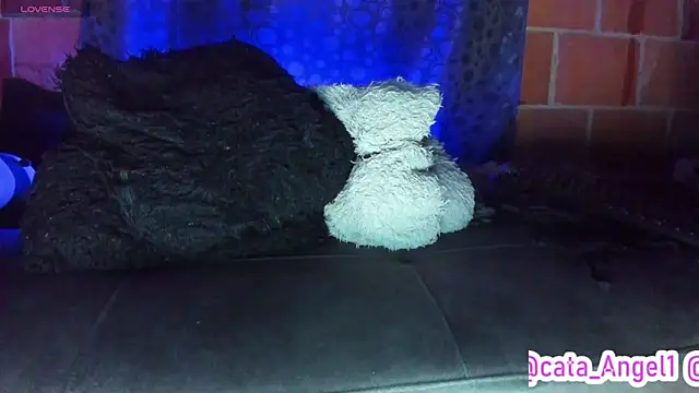 Živý XXX chat Cata-angel