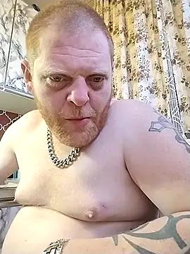 Baumhackel webcam show