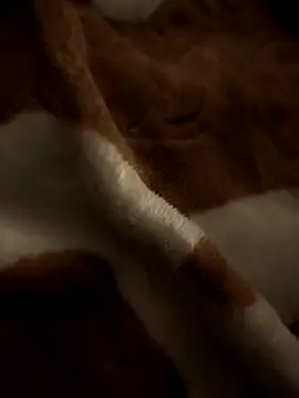 Вебкам-шоу benhadj71