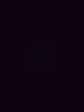 Biknight 网络视讯表演