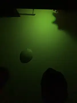 Pervert898 Webcam Show