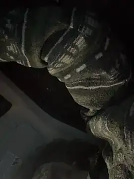 Teddy4420 – Naživo XXX chat