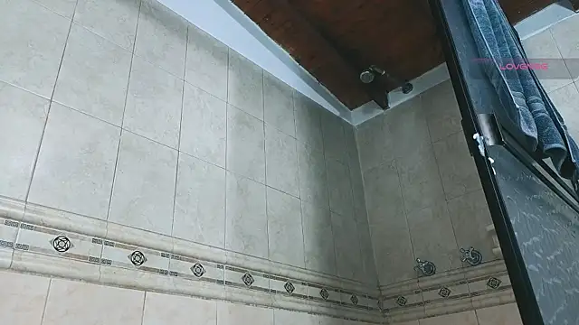 Show Webcam de SilvaBranko