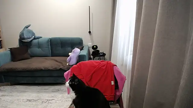 Sophy_Fox's Live XXX Chat