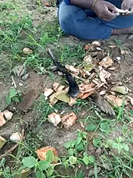 dolphiinn: вебкам-шоу