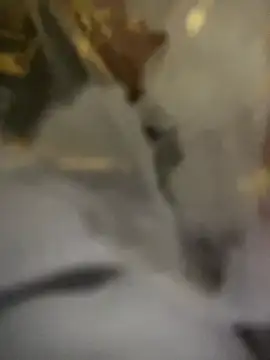 Lola666999's Webcam Show