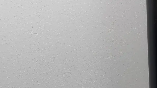 Nicole20266's Live XXX Chat