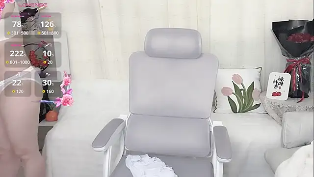 520Muzi_ Show Webcam