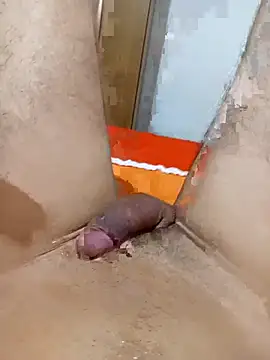 Show de webcam de erotil_1