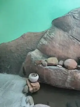 Chatroom XXX en direct de Ruvi_Queen