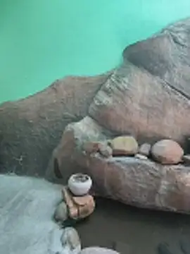 Ruvi_Queen: διαδικτυακό σόου στην κάμερα