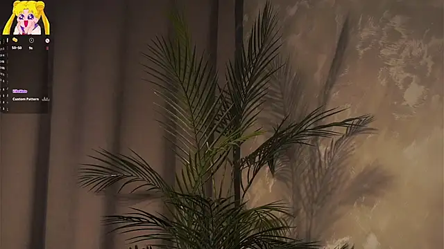 EdlinHargus 网络视讯表演