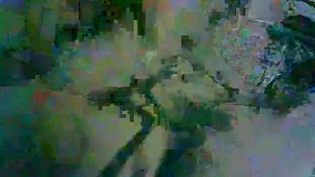 GUAPAN3S3_FIR3: διαδικτυακό σόου στην κάμερα