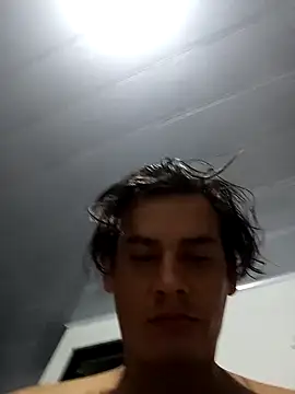 RapidBarrier webcam show