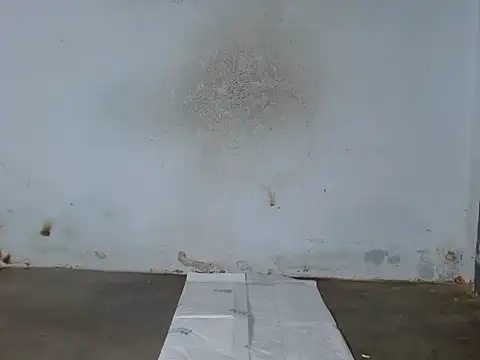 Chat +18 de Boiboi2x ao vivo