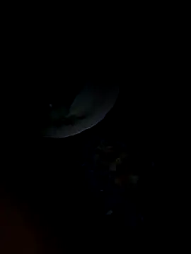 Andrebb3's Webcam Show