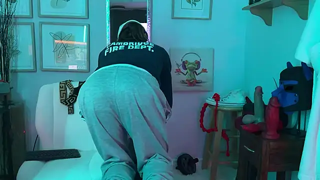 DylanBrook's Webcam Show