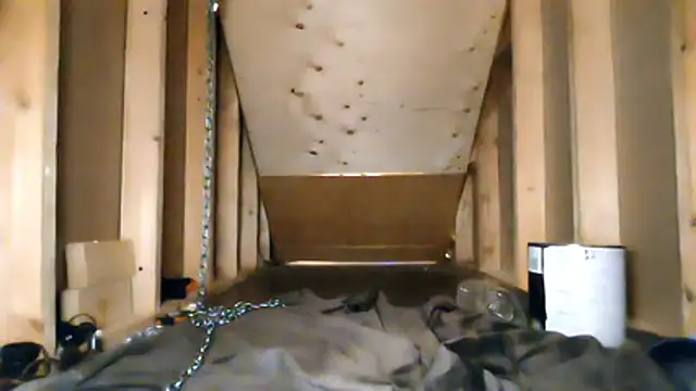 Show modela cbtbetaloser na web-kameri