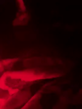 caramello-48888 Show Webcam