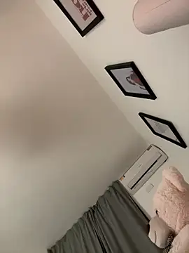 Show webcam de Chaniita