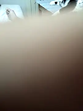 Show de webcam de Corref