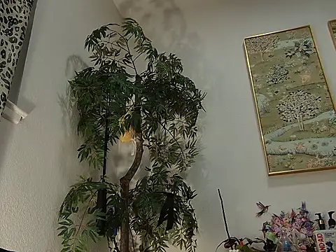 lavender_spits' Live XXX Chat