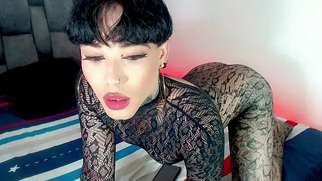 little_star_porn 라이브 XXX 채팅