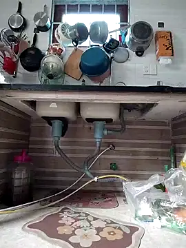 Haralushiaaaのウェブカメラショー