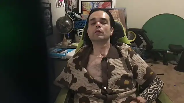 Pertunjukan Kamera Web KungFuPanda001