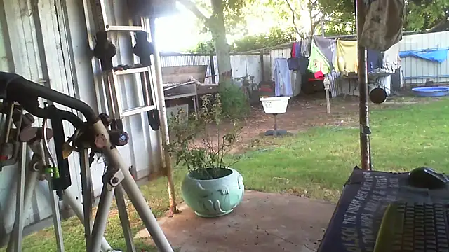 Show webcam de herbie010666