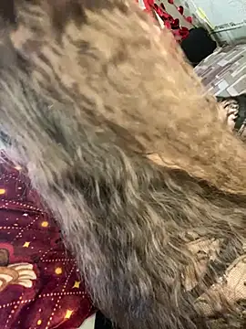 Chat XXX Live Var_Kiss