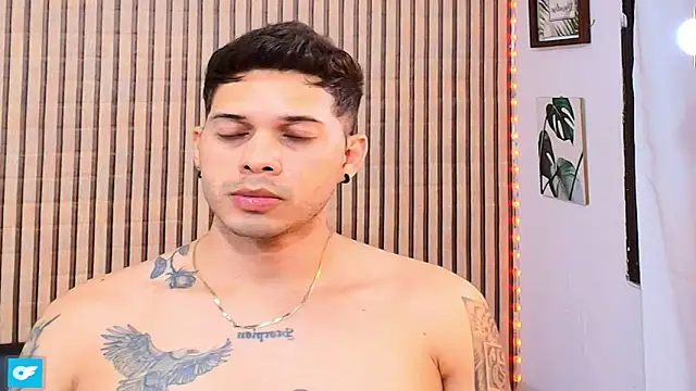 johan_speitzer 라이브 XXX 채팅