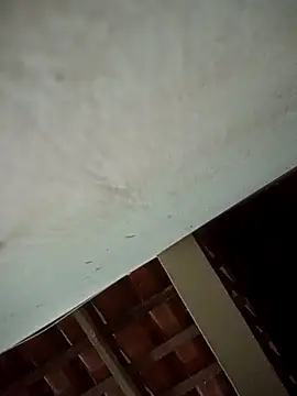 euchapo99 Webcamshow