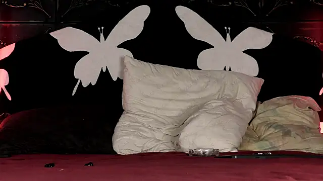 SirReed 即時 XXX 聊天