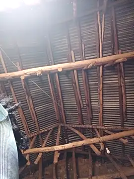 holygrail001n Webbikameraesitys