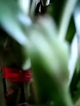 Вебкам-шоу raj0592