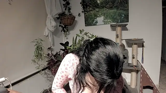 Chat XXX en directo de sexnherbs