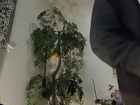 Онлайн чат XXX lavender_spits