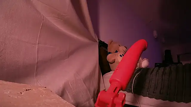 alldogsgotoheaven: вебкам-шоу