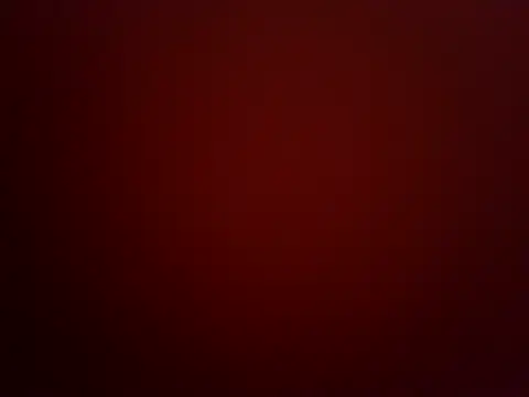 Show Webcam de githot