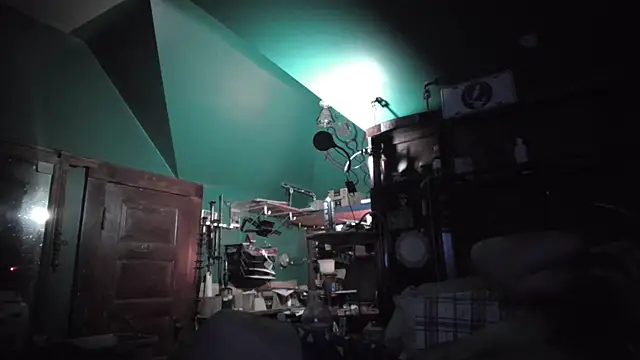 charactrzero Webcam Show